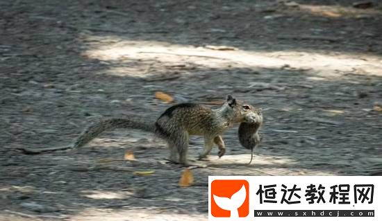 你敢信嗎