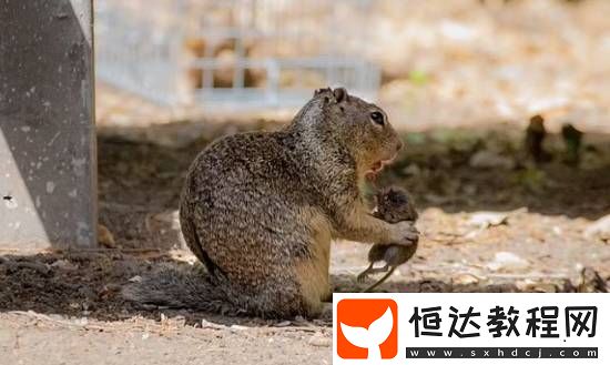 你敢信嗎