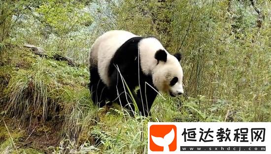 你敢信嗎