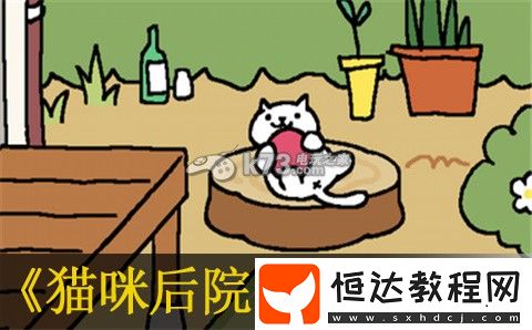 稀有裝備掉落詳解