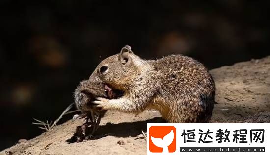 你敢信嗎