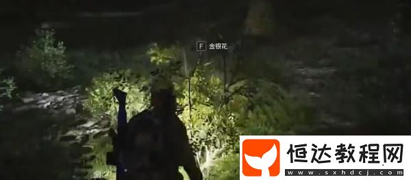 七日世界金銀花獲取方法