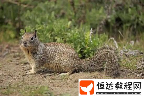 你敢信嗎
