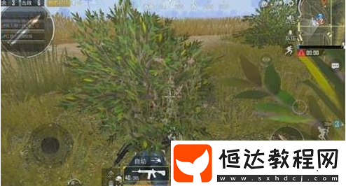 絕地求生刺激戰(zhàn)場麥田物資選擇指南：DP-28、手雷、燃燒彈等Top5推薦
