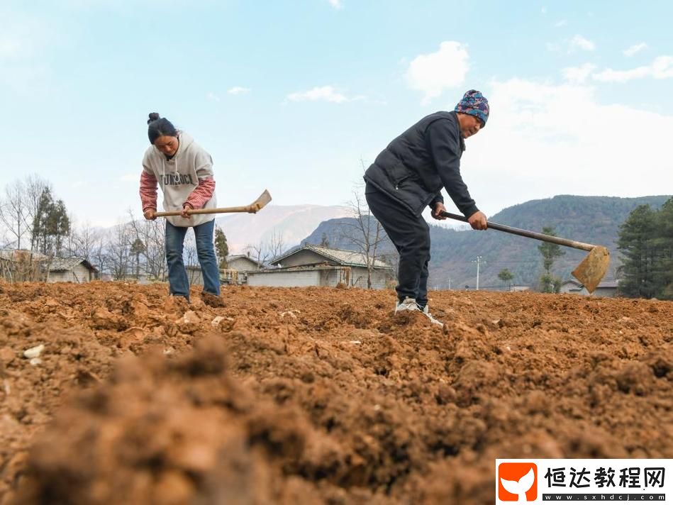 為何選擇“耕種姨媽肥沃的土地”能讓我們收獲豐厚的人生經(jīng)驗