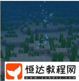 我的世界華麗氣泡設(shè)置攻略：如何開啟華麗氣泡效果與普通氣泡對比