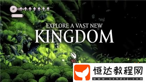 曝空洞騎士