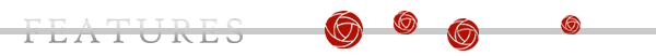 寂靜王國(guó)游戲特色內(nèi)容介紹