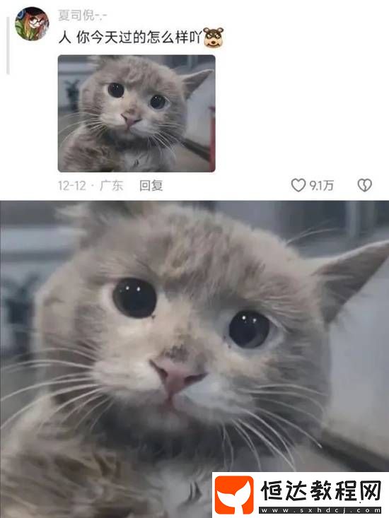 雖有肉但澀口的囧圖
