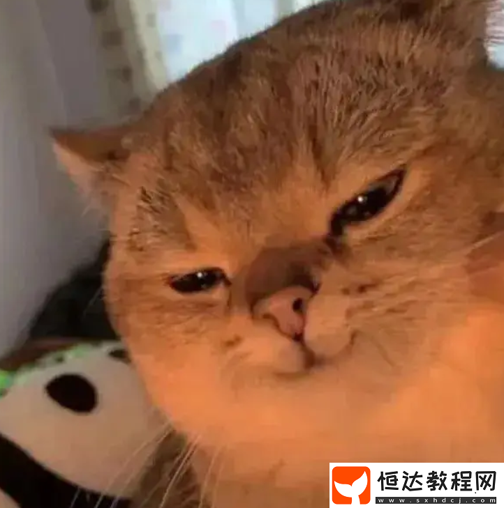 國產(chǎn)游戲在海外火出圈-在國內(nèi)卻被貼吧老哥追著爆破