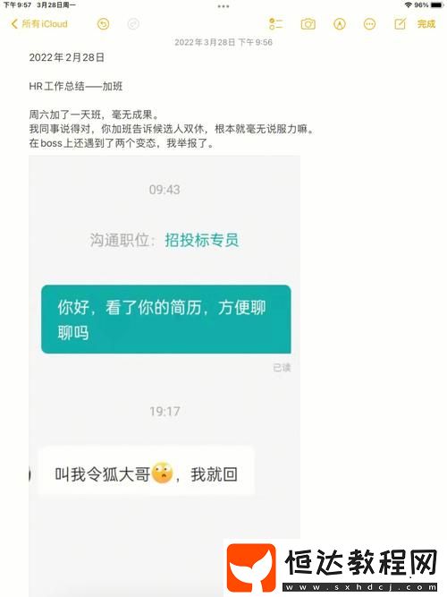 在職場(chǎng)與家庭間的抉擇——瞞著老公加班的hr中字