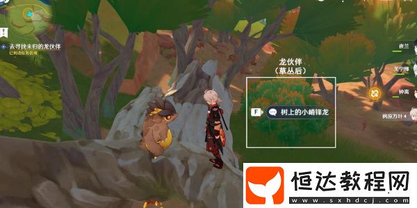 游戲設(shè)置與個(gè)性化調(diào)整建議