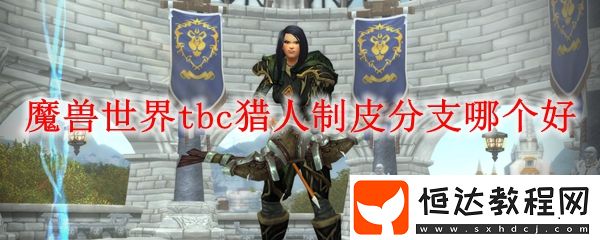 魔獸世界tbc獵人制皮分支哪個好