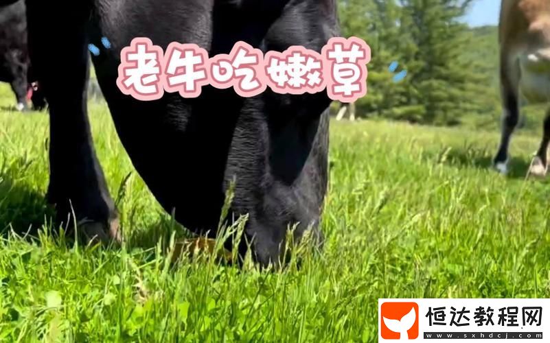 年齡差距的愛情能否真正持久