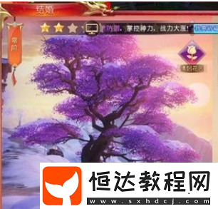 戰(zhàn)國之道手游結婚系統(tǒng)全解析：從發(fā)布心動宣言到舉辦婚禮