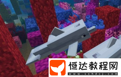 我的世界海豚馴服方法全解析：如何與海豚互動并尋寶