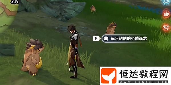 游戲設(shè)置與個(gè)性化調(diào)整建議