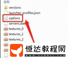 我的世界伽馬值調(diào)整方法