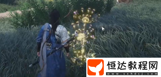 燕云十六聲七閥坡蹊蹺位置大全