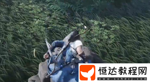 燕云十六聲七閥坡蹊蹺位置大全