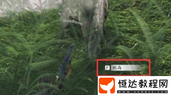 燕云十六聲抓馬技巧