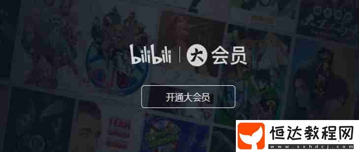 b站大會(huì)員有什么權(quán)益