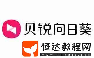 向日葵遠程控制點開即玩免費