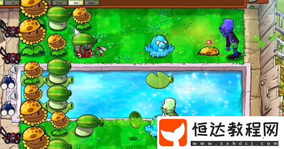 植物大戰(zhàn)僵尸雜交版泳池防守第1關攻略
