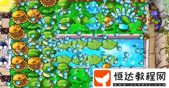 植物大戰(zhàn)僵尸雜交版泳池防守第1關攻略