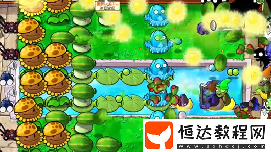 植物大戰(zhàn)僵尸雜交版泳池防守第3關(guān)攻略