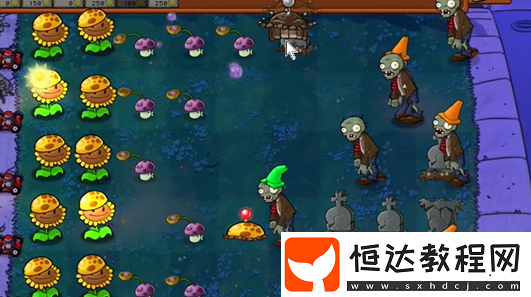 植物大戰(zhàn)僵尸雜交版前院告急第11關(guān)攻略
