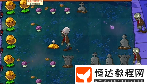 植物大戰(zhàn)僵尸雜交版前院告急第11關(guān)攻略