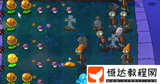 植物大戰(zhàn)僵尸雜交版前院告急第9關攻略