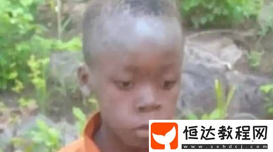 園內獅子成群