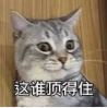 網(wǎng)游時光機