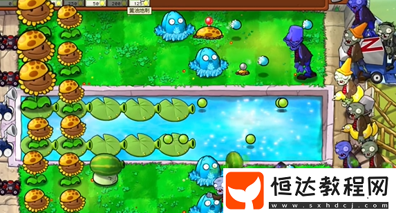 植物大戰(zhàn)僵尸雜交版泳池防守第5關(guān)攻略