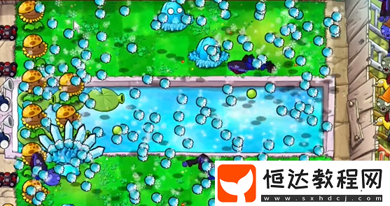 植物大戰(zhàn)僵尸雜交版泳池防守第5關(guān)攻略