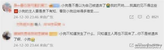 動保組織介入收養(yǎng)