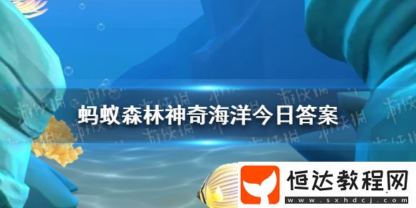 神奇海洋2月15日答案