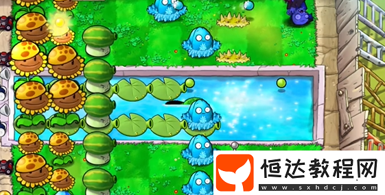 植物大戰(zhàn)僵尸雜交版泳池防守第5關(guān)攻略