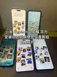 oppo壁紙怎么換成自己的動態(tài)壁紙圖片