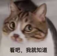 被老爸逼著打游戲