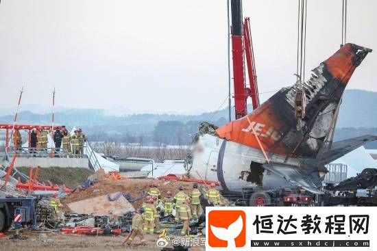 疑撞比機身大10倍鳥群