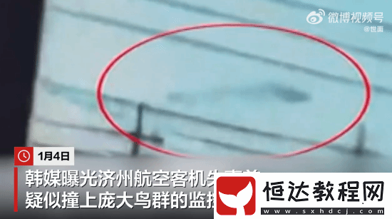 疑撞比機身大10倍鳥群