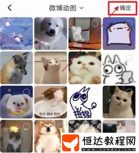 soul背景墻怎么換動圖
