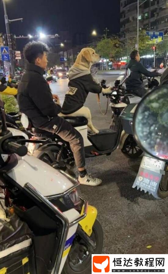 大小和脾氣相關的囧圖