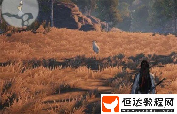 燕云十六聲脂尾羊怎么刷取