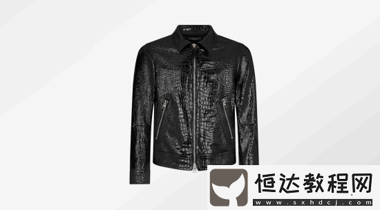 黃仁勛新皮衣超帥！價格曝光