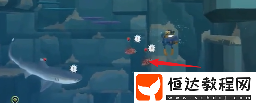 潛水員戴夫銀泰坦板甲魚捕獲攻略