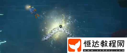潛水員戴夫斑點海鰻捕獲攻略